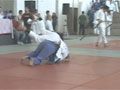 Judo ao Vivo - Isabele x Tarrere